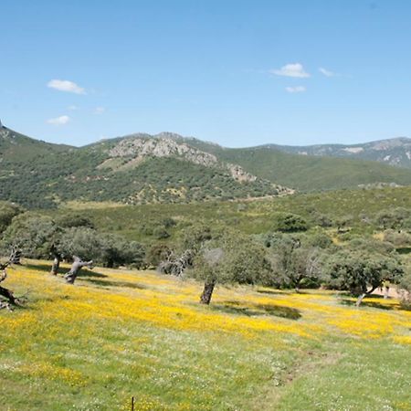 Cañamero La Brizna旅馆 外观 照片