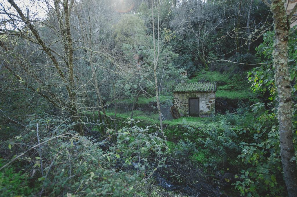 Cañamero La Brizna旅馆 外观 照片