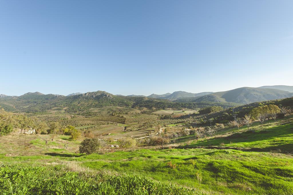 Cañamero La Brizna旅馆 外观 照片