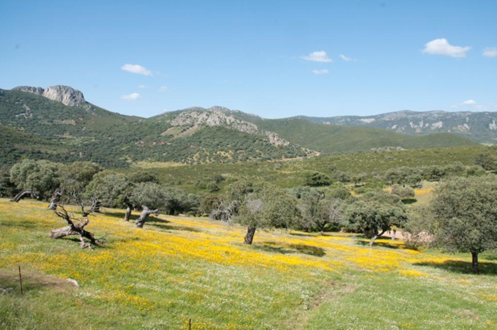 Cañamero La Brizna旅馆 外观 照片